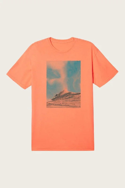 Weekend Deals That Please O'neill Men's T-Shirts Short Sleeve