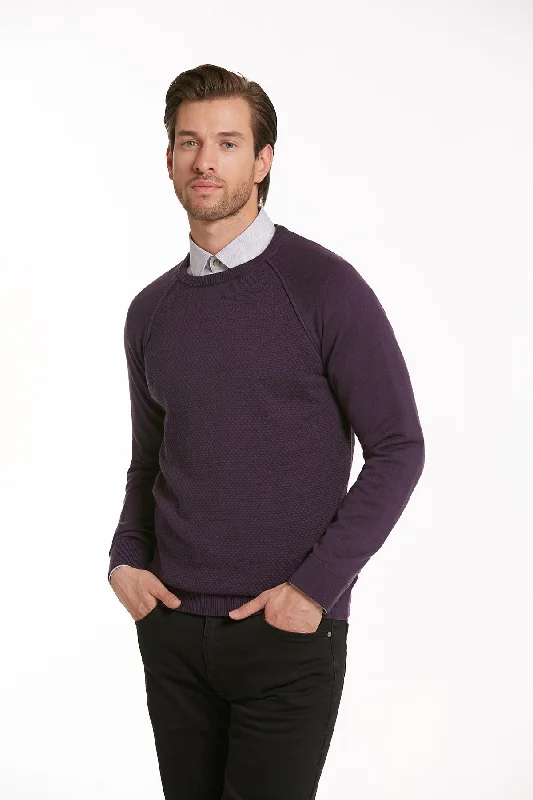 Hurry In Slim Fit Purple Cotton Blend Crewneck Sweater