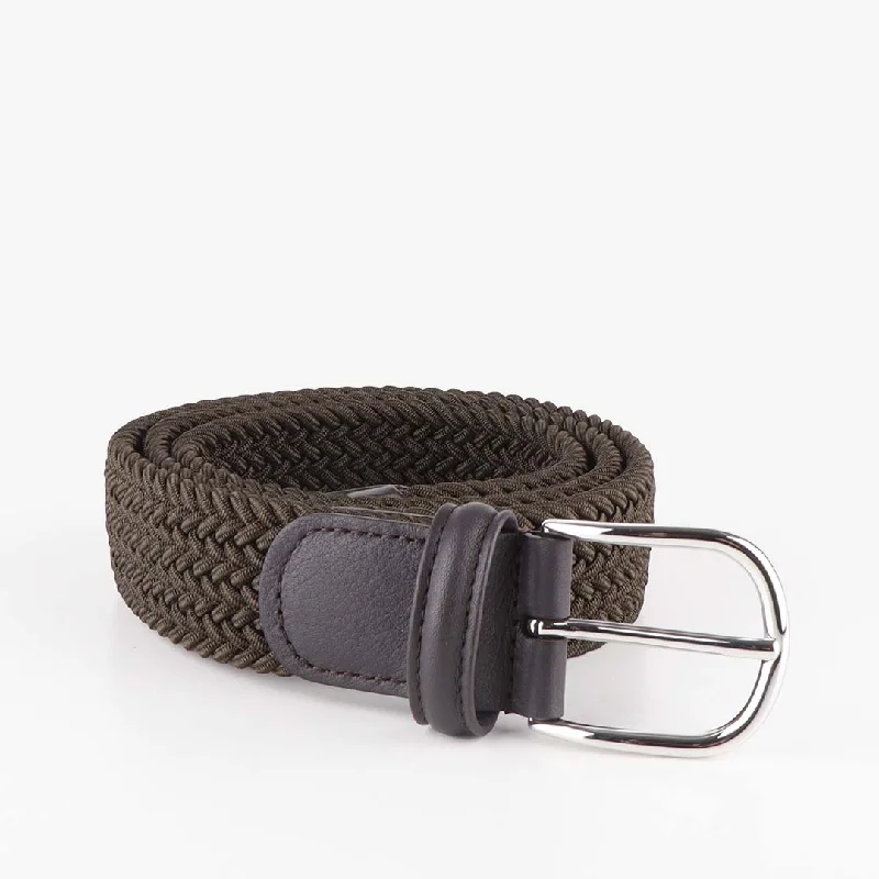 Take Action Anderson's Classic Plain Elastic Woven Belt